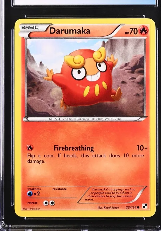 Darumaka