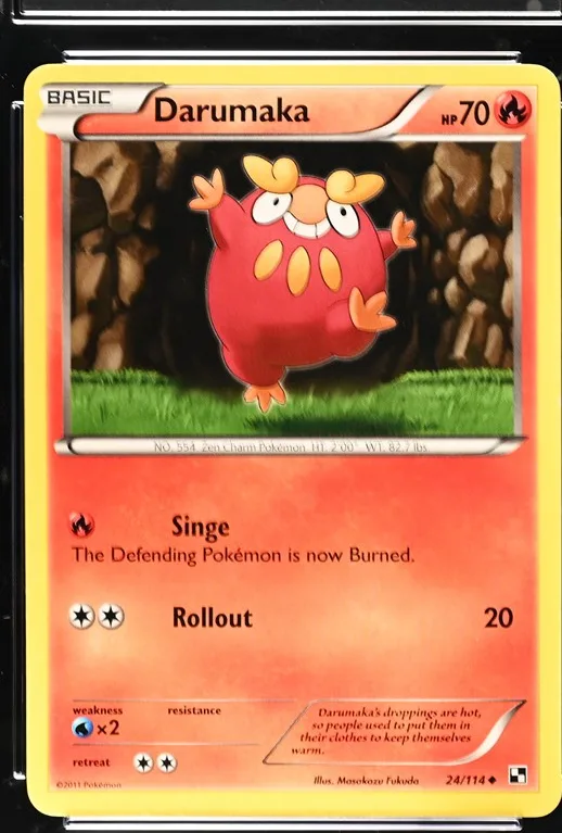 Darumaka