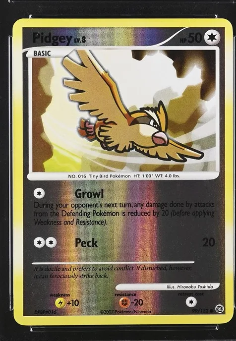 Pidgey