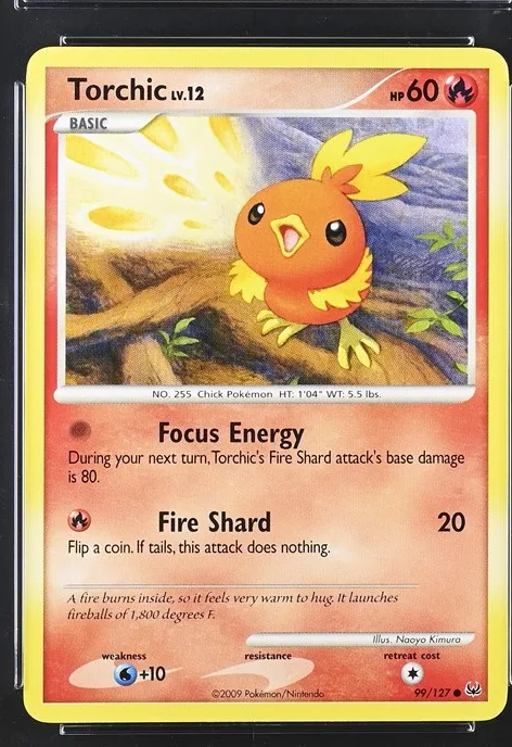Torchic