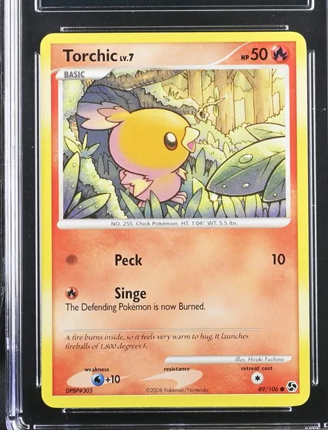 Torchic