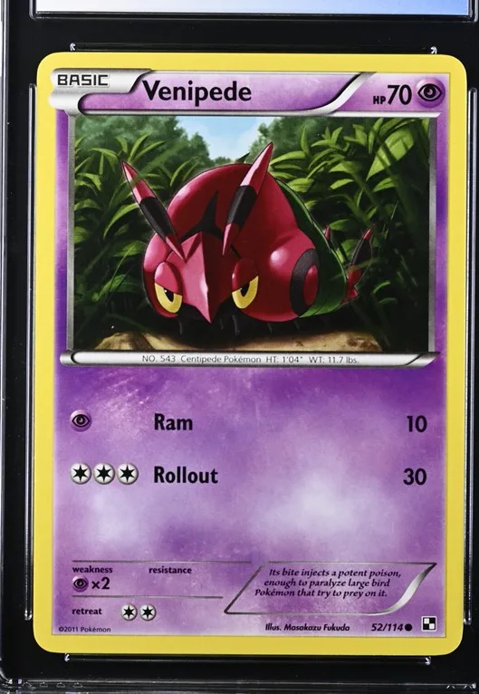 Venipede