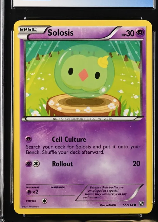 Solosis