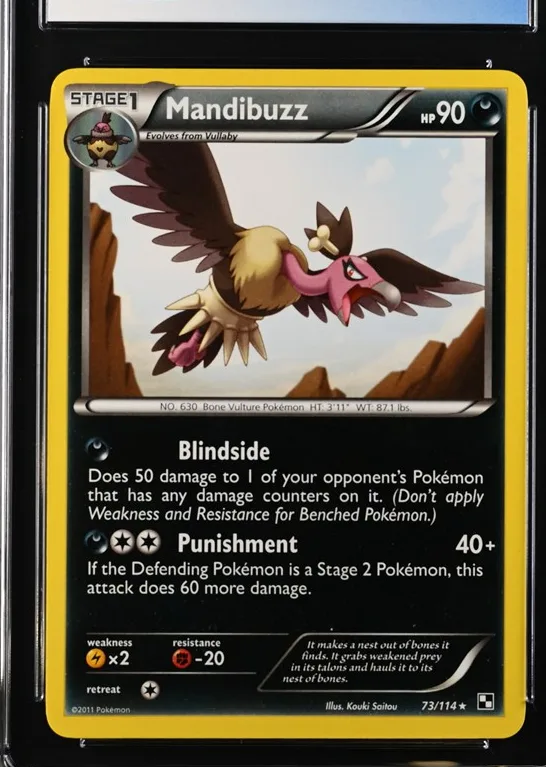 Mandibuzz