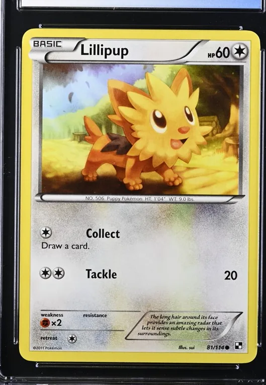 Lillipup Pokémon card front