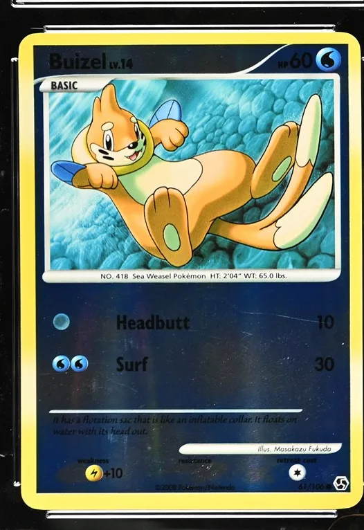 Buizel