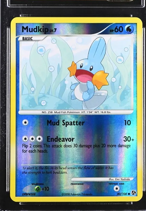 Mudkip
