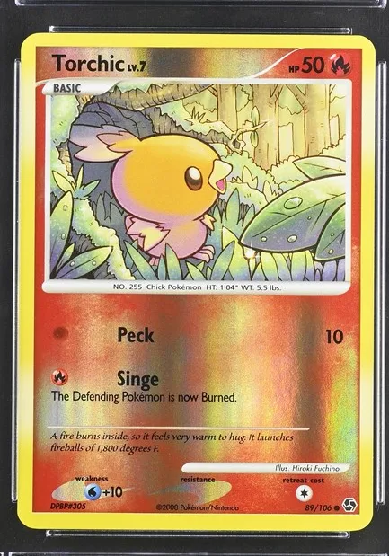 Torchic