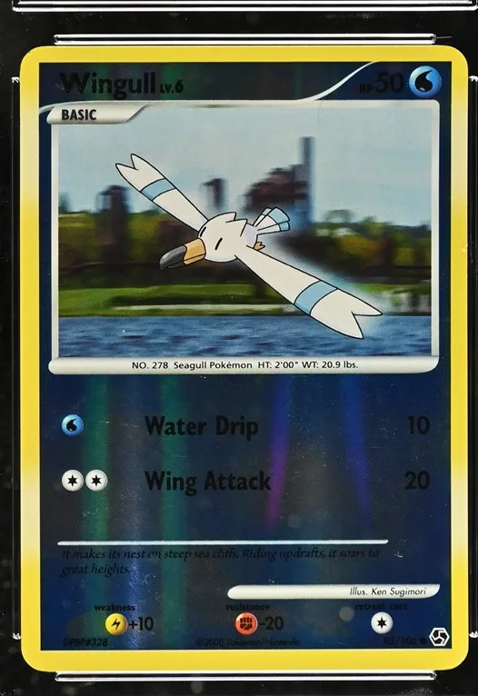 Wingull