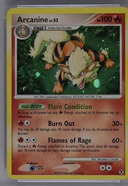 Arcanine