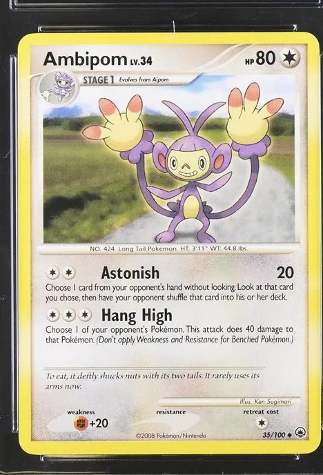 Ambipom