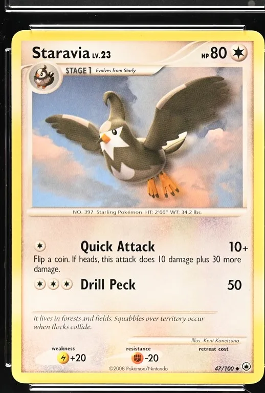Staravia
