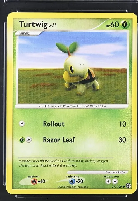 Turtwig