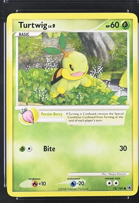 Turtwig