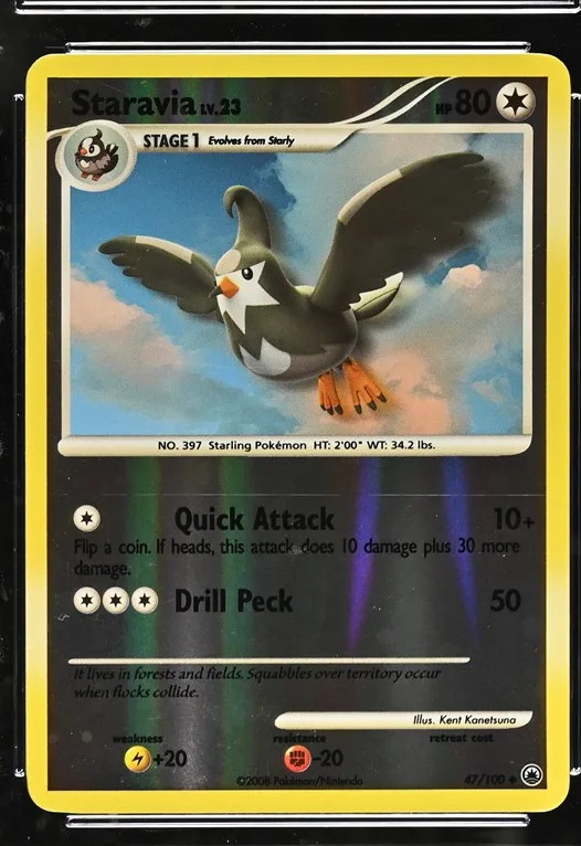 Staravia