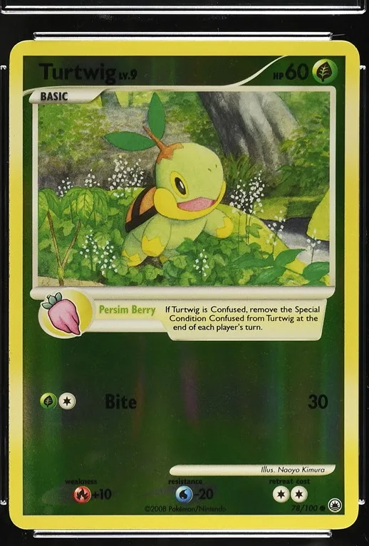 Turtwig