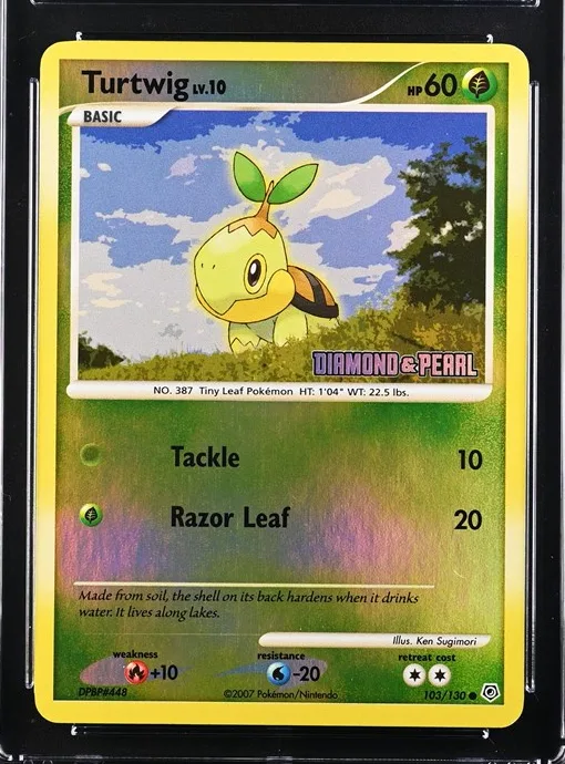 Turtwig