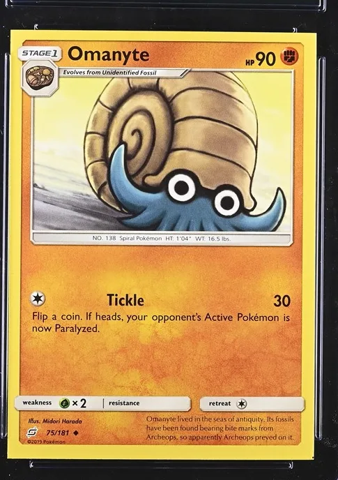 Omanyte