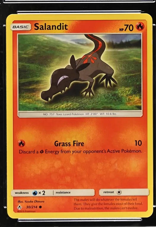 Salandit