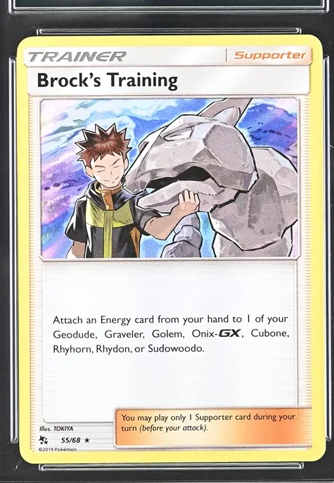 Brock's Training