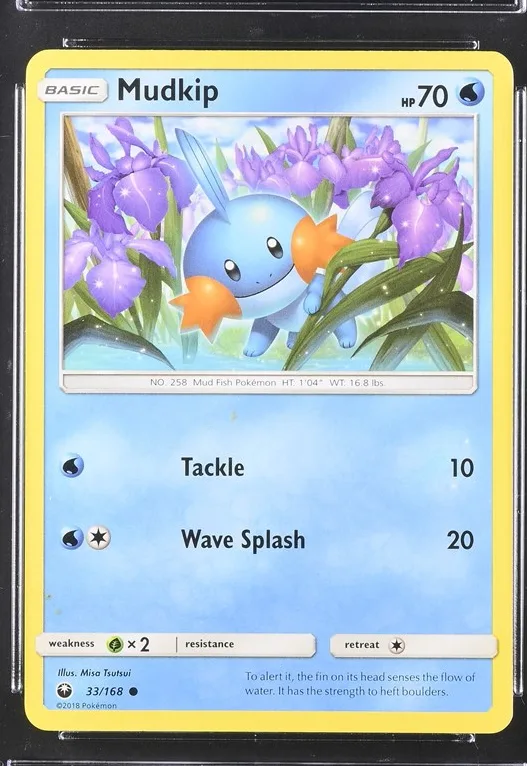 Mudkip