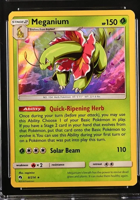 Meganium