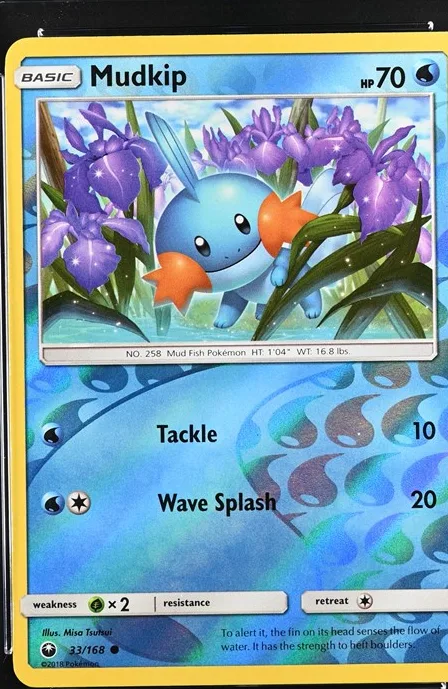 Mudkip