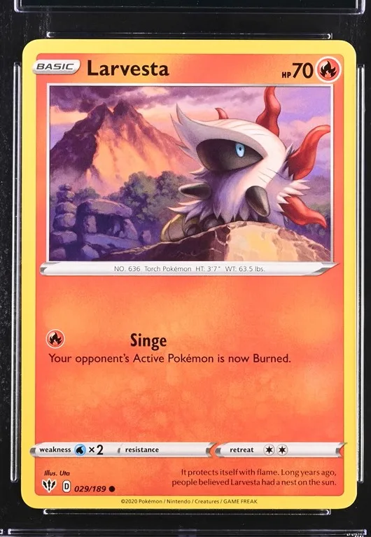 Larvesta