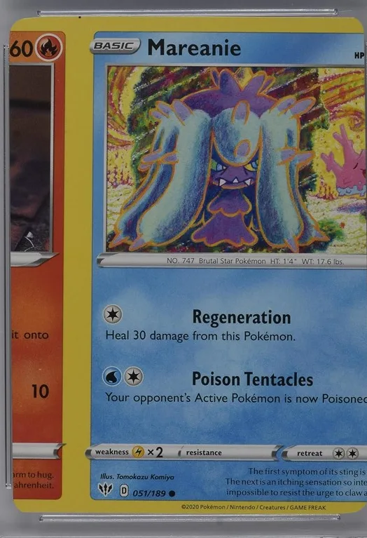 Mareanie