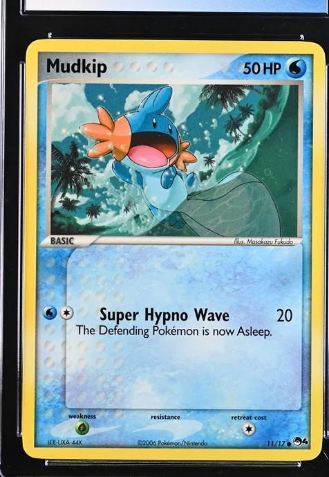 Mudkip