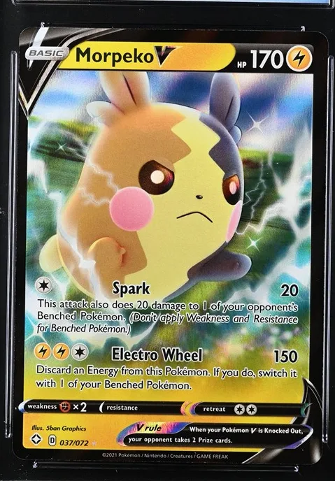 Morpeko V