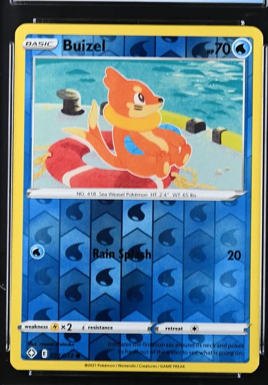 Buizel