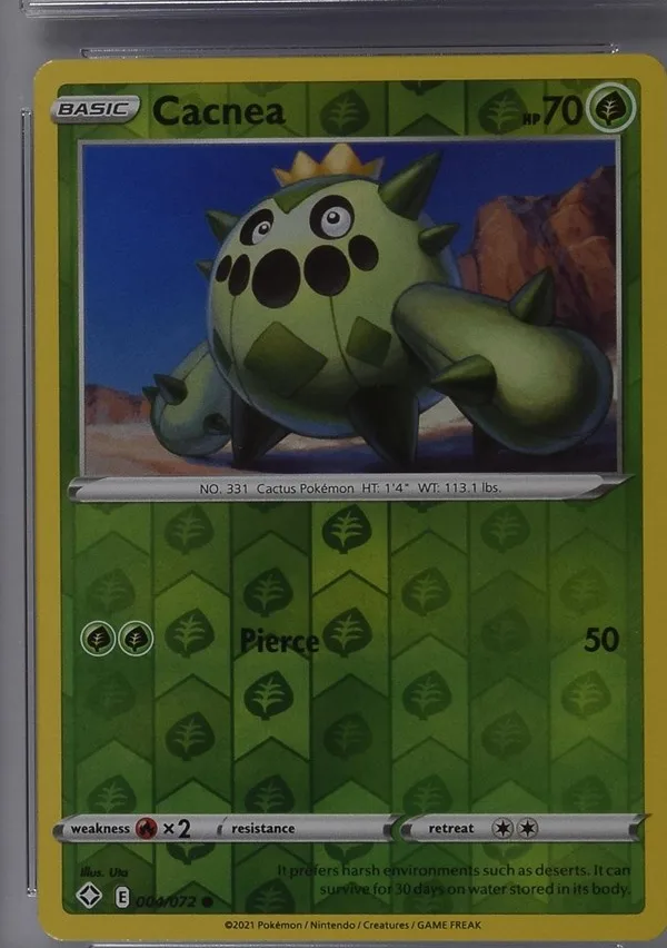 Cacnea