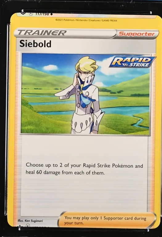 Siebold