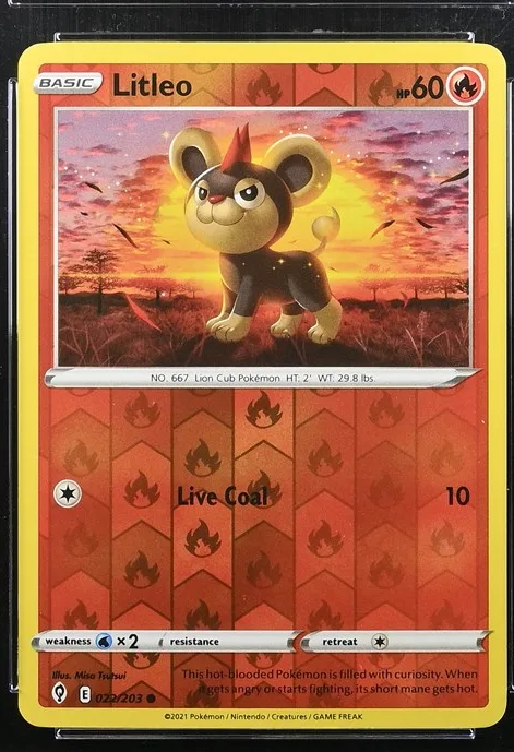 Litleo