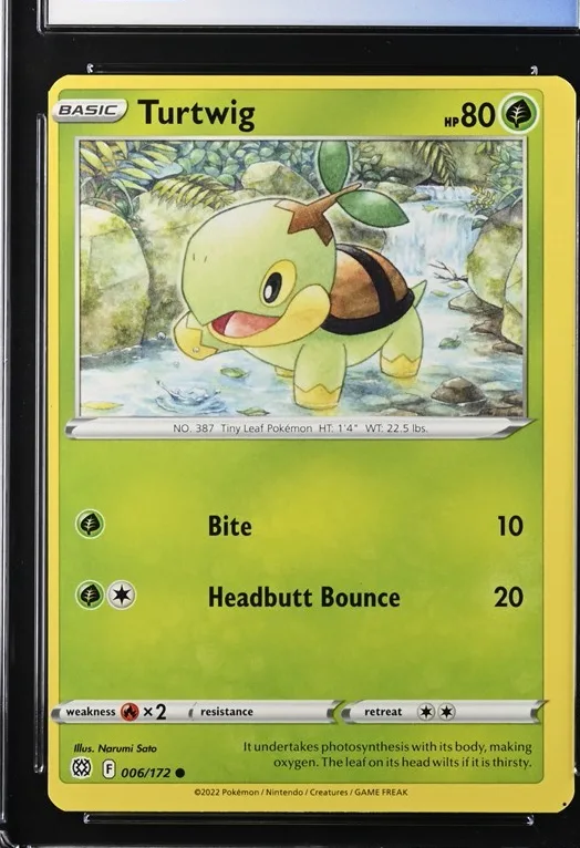 Turtwig