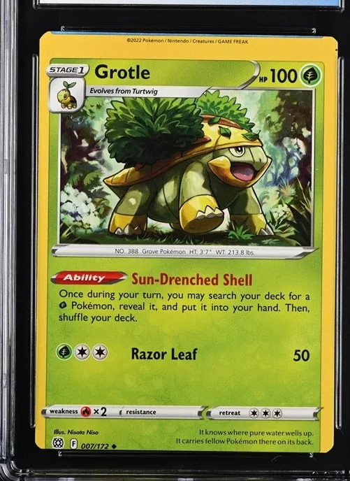 Grotle