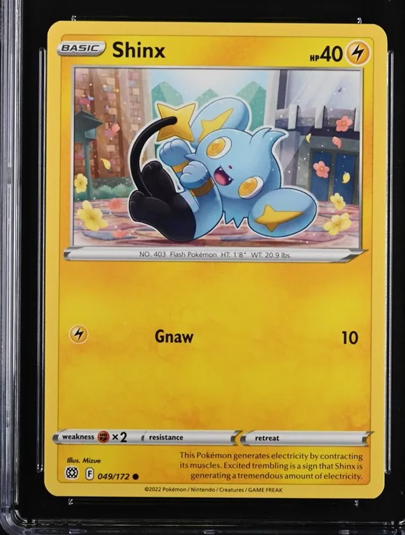 Shinx