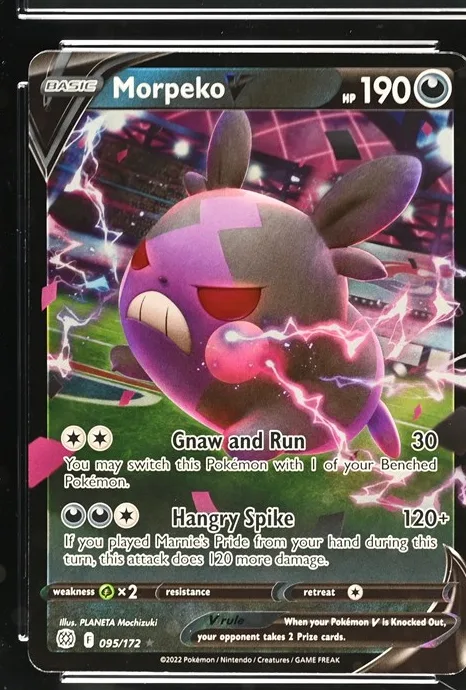 Morpeko V