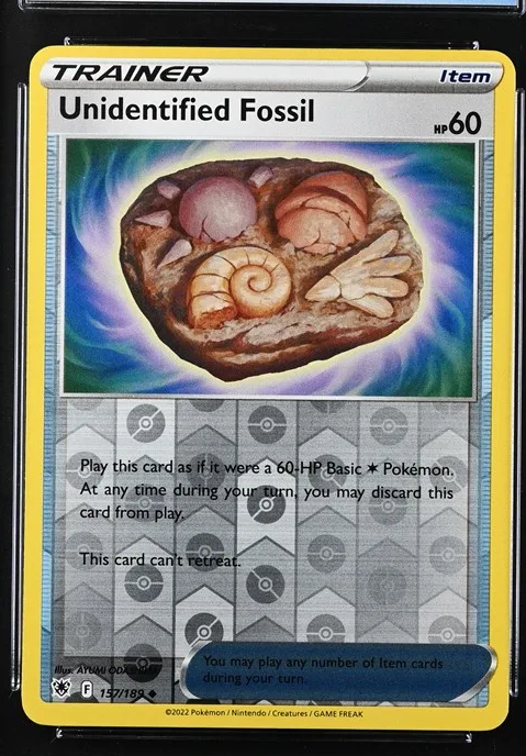Unidentified Fossil