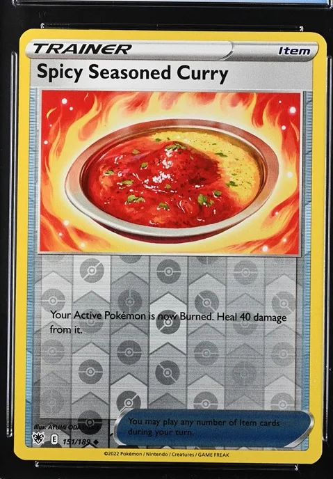 Spicy Seasoned Curry