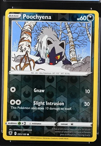 Poochyena