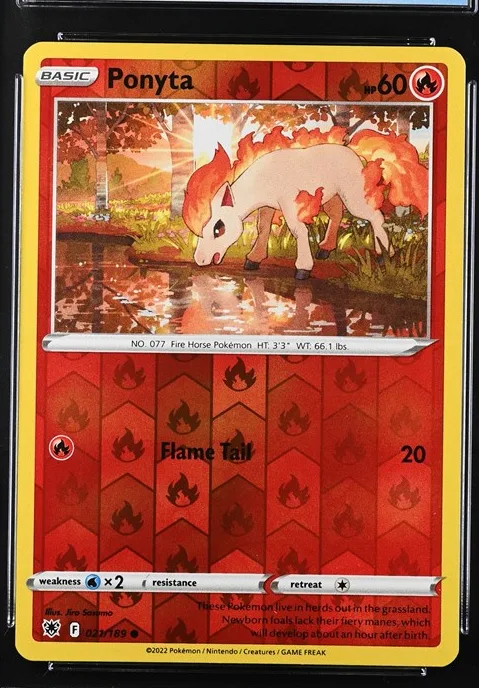Ponyta