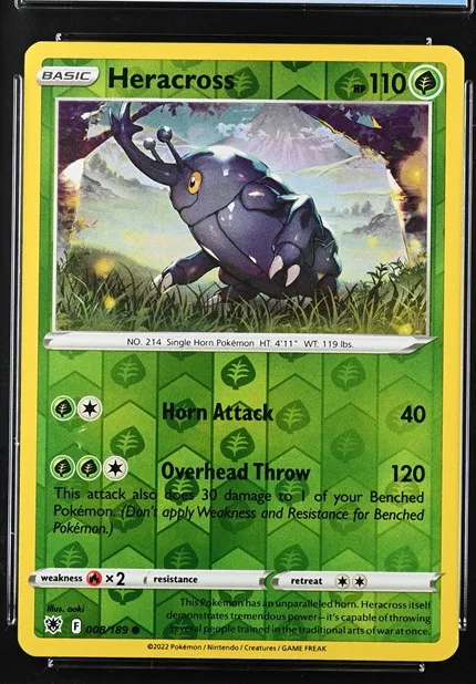Heracross