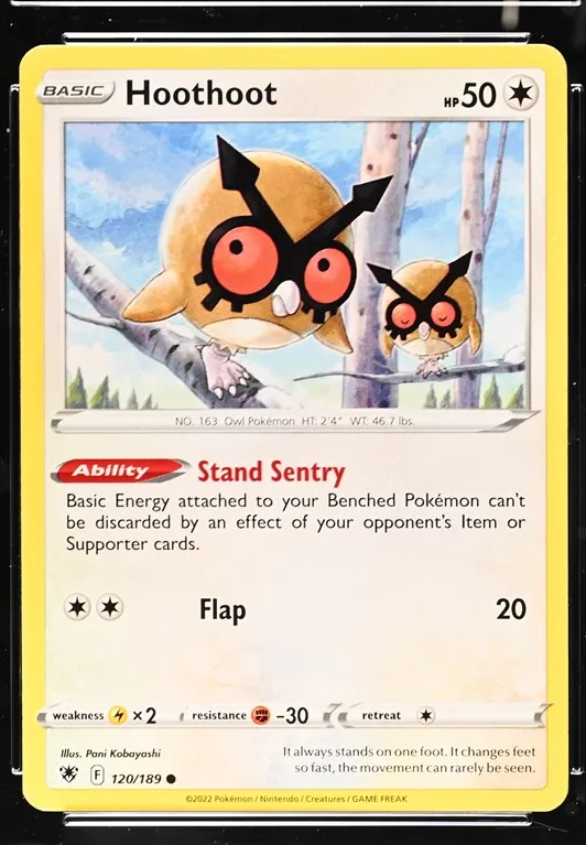 Hoothoot