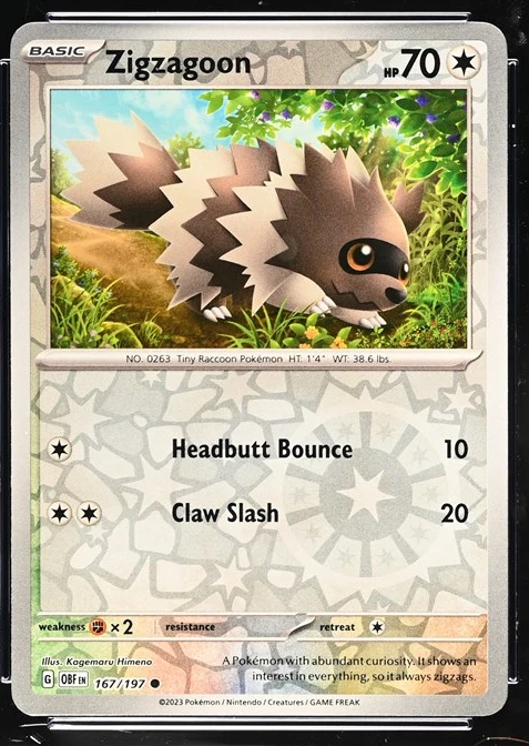 Zigzagoon