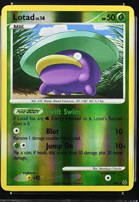 Lotad