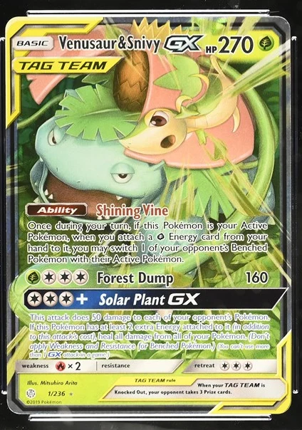 Venusaur & Snivy-GX