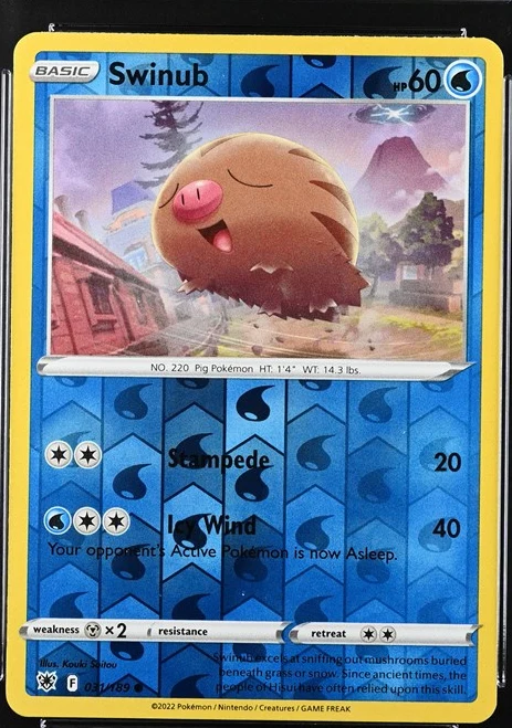 Swinub