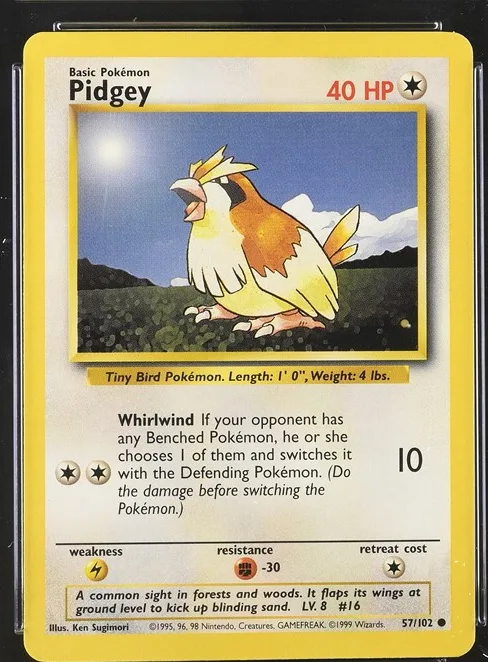 Pidgey